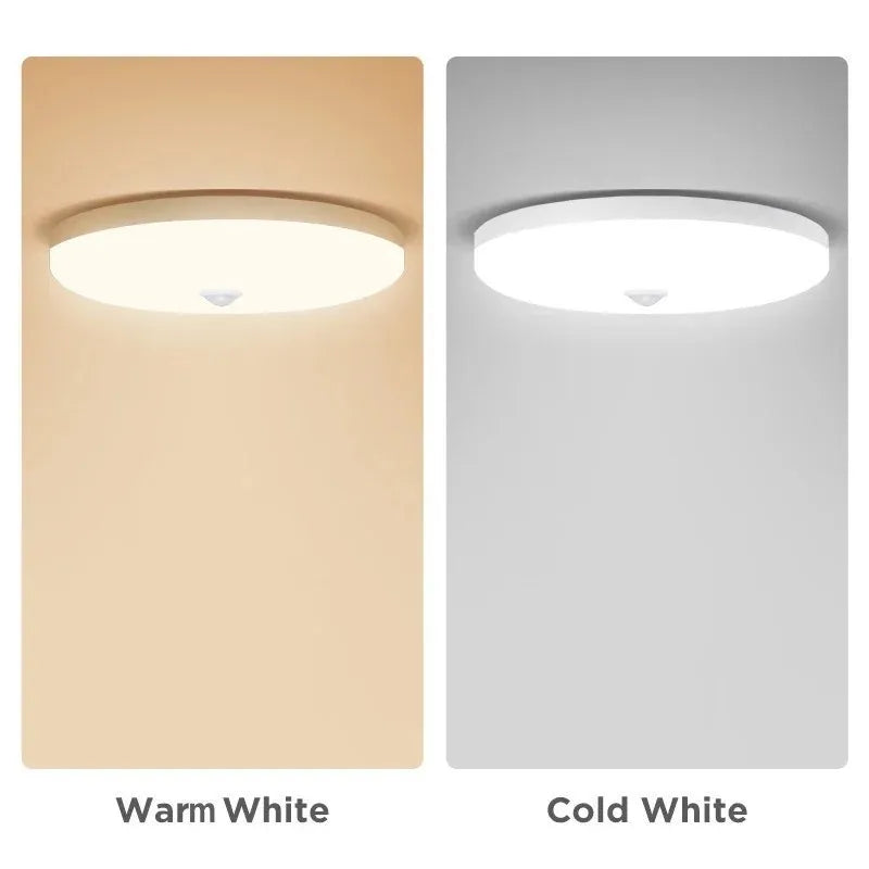 Motion Sensor LED Ceiling Light