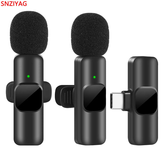 Portable Wireless Microphone